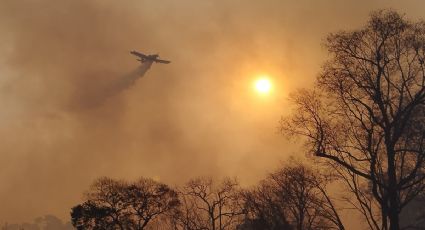 El dióxido de carbono en la atmósfera alcanza su nivel más alto jamás registrado: OMM
