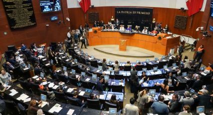 Jucopo ya tiene la lista de los 10 perfiles para la FGR: incluyen a Ernestina Godoy y Hamlet García