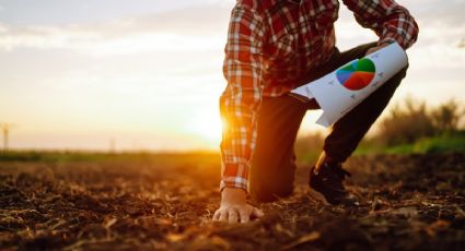 Proponen en Reino Unido un cambio completo en la forma de comer: priorizará la sustentabilidad