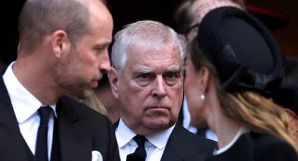 Príncipe Andrés recurrió a la Policía de Londres para buscar información personal de Virginia Giuffre: medios