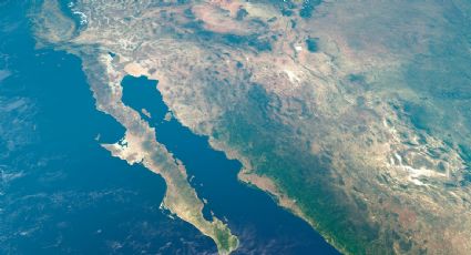 Organizaciones mexicanas piden frenar megaproyecto de gas fósil en el Golfo de California