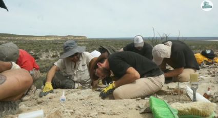 "¿Esto es un fósil, chabón?": descubren un huevo de dinosaurio de 70 millones de años completo e intacto en la Patagonia