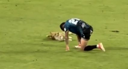 Perro irrumpe en un partido de futbol y se tira al lado de un jugador que se quejaba de una falta: lo apodan ‘Neymar’