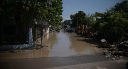 Fuga de hidrocarburo en Veracruz causa otro desastre ecológico: se derraman cuatro millones de crudo