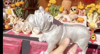 ¡Recuérdame! 'Roscoe', el perro fallecido de Lewis Hamilton, es incluido en la ofrenda del Gran Premio de México