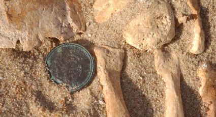 ADN revela las enfermedades que contribuyeron a la derrota de Napoleón en Rusia en 1812