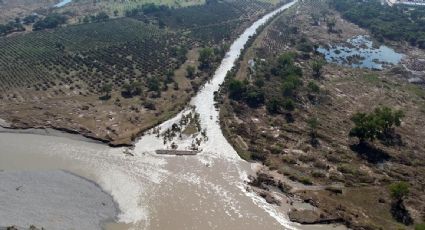 Veracruz, bajo petróleo: derrames y fugas en pozos inactivos agravan la tragedia ecológica