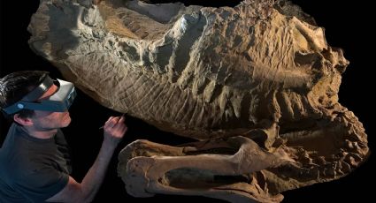 Encuentran a Ed Jr., el primer dinosaurio juvenil momificado y fosilizado