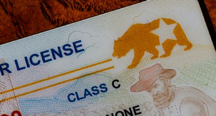 Cierre de gobierno en EU: Trump amaga con quitar fondos a California por emitir licencias a migrantes