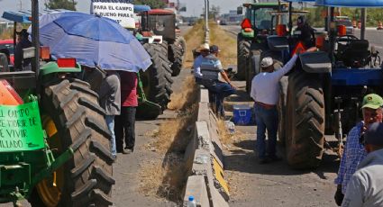 “No hay acuerdo por el precio del maíz": productores y agricultores desmienten a Julio Berdegué