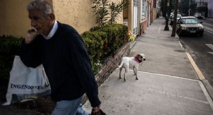 Prohíben en la CDMX negar la renta o compra de un inmueble por tener niños o mascotas; entra en vigor este martes