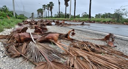 Primer ministro de Jamaica declara al país como "zona catastrófica" tras paso del huracán "Melissa"