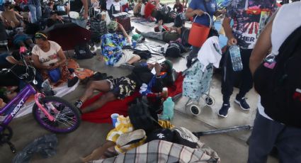 Legisladores europeos visitan México para analizar la situación de los derechos humanos y paz en el país