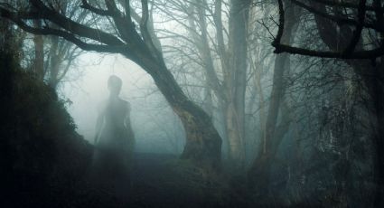 Casi la mitad de los canadienses cree en lo paranormal; sobre todo en los fantasmas