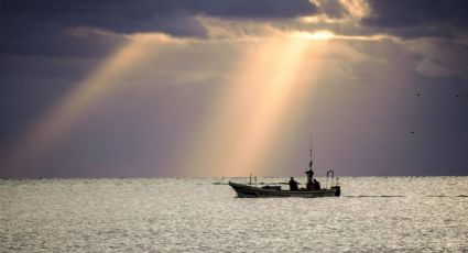 Menores hallados en embarcación viajaron voluntariamente: fiscalía de Sinaloa; Sheinbaum confirma detención del adulto que los acompañaba