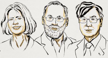 Ganan el Nobel de Medicina tres científicos por avances en la investigación del sistema inmunitario