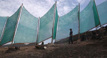 Los "atrapanieblas", captación de agua para cerca de 60 mil familias en las zonas áridas de Perú
