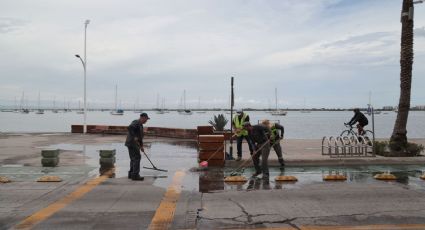 Suspenden clases y actividades administrativas en Los Cabos y La Paz por el huracán "Priscilla"