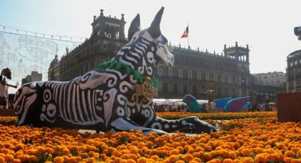 Ofrendas para visitar en México