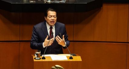 Mario Delgado evita responder si le retiraron su visa de EU durante comparecencia en el Senado