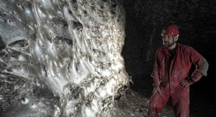 Descubren caso único de una telaraña con más de 100 mil arácnidos de dos especies distintas