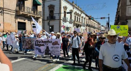 Michoacán, Oaxaca y Puebla, entre los estados que se sumaron a la marcha de la "Generación Z"