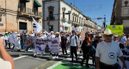 Dos jóvenes detenidos y tres reporteros agredidos por policías, saldo de la marcha en Morelia