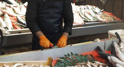 Mueren cinco turistas alemanes en Estambul por comer alimento en mal estado; van 11 sospechosos detenidos