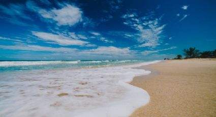 Retiran letreros colocados por extranjeros para frenar el ingreso a playa de Tamaulipas cerca del río Bravo