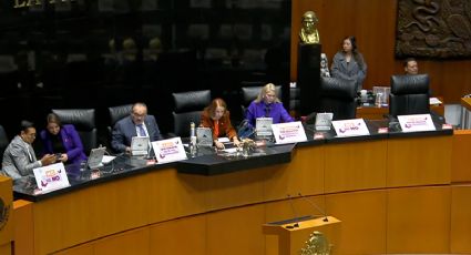 Senado aprueba que el gobierno federal realice inspecciones en empresas para verificar salario igualitario