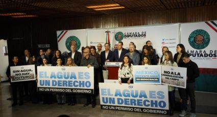 “Hay que estar muy loco para decir que por unos cuantos acaparadores deben fregarse a los productores del país”: PAN