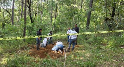Diputado del “Movimiento del Sombrero” revela hallazgo de fosa con cuatro cuerpos en predio familiar en Uruapan