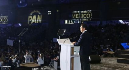 Asamblea ordinaria: PAN asegura que México es más grande que sus gobiernos que no garantizan paz