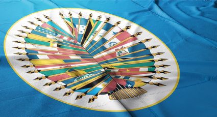 La OEA registra la declaración de resultados que designa a Asfura como presidente de Honduras