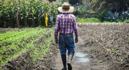 Unión Nacional de Trabajadores Agrícolas exige políticas para frenar la "crisis del campo sin precedentes"