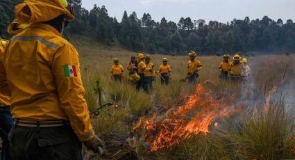 México y casi 50 países se comprometen a combatir los incendios forestales desde la prevención