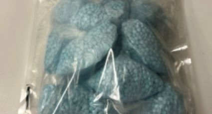 Decomisan en Seattle 100 mil pastillas de fentanilo y armas de fuego al Cártel de Sinaloa