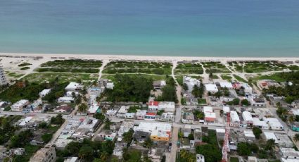 Operación despojo: roban miles de hectáreas de terrenos nacionales en Yucatán