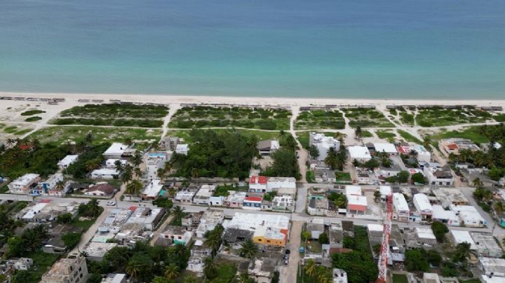 Operación despojo: roban miles de hectáreas de terrenos nacionales en Yucatán