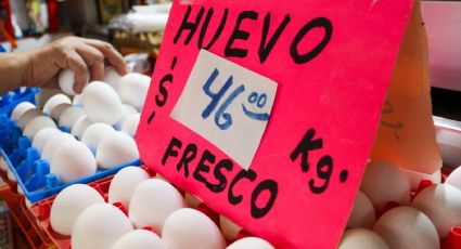 Precio de la canasta alimentaria en zonas urbanas aumenta 4.4% en noviembre; es superior a la inflación