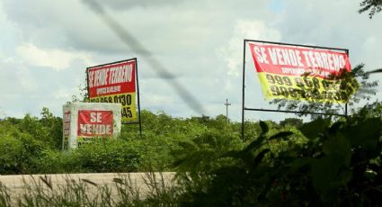 Operación despojo: dos gobernadores y un exfuncionario dicen desconocer sobre el robo de terrenos nacionales en Yucatán