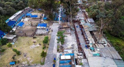 Desalojo obedece a un desarrollo inmobiliario en Santa Fe, acusa abogado del Refugio Franciscano; más de mil perros y gatos han sido afectados