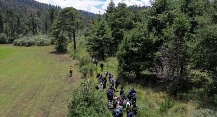 CIDH pide redoblar esfuerzos de búsqueda de Ana Amelí, desaparecida hace cinco meses en el Ajusco
