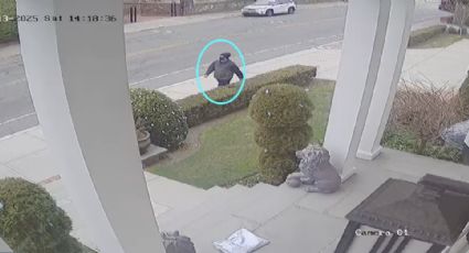 Autoridades difunden nuevas imágenes del sospechoso del tiroteo en la Universidad Brown