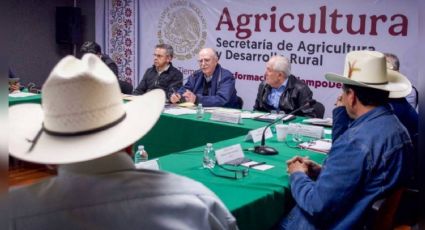 Gobierno federal alcanza acuerdo con agricultores y transportistas tras advertencia de nuevo bloqueo carretero
