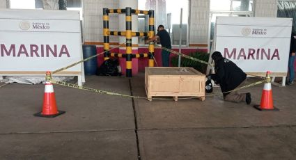 Descubren cargamento de droga psicodélica en recinto portuario de Veracruz; iba rumbo al extranjero