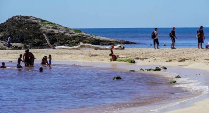 Autoridades piden evitar seis playas mexicanas en estas vacaciones por no alcanzar las condiciones de salubridad