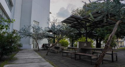 Juez abre proceso contra maestro de la Universidad Michoacana por presunta violación de alumna