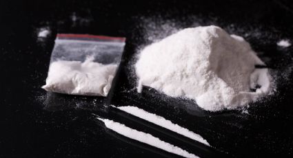 Ecuador decomisa 1.6 toneladas de cocaína en contenedores que tenían como destino Europa