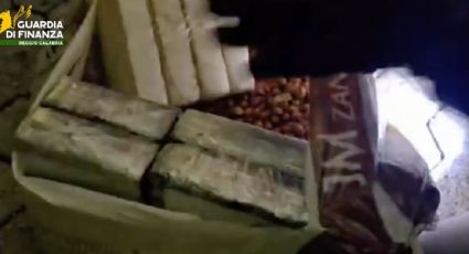 Decomisan en Italia más de 534 kilos de cocaína que llegaron desde Latam ocultos en bolsas de cacahuates